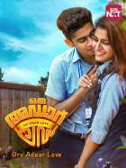 Oru Adaar Love 2019 Hindi Dubbed 480p FilmyZilla